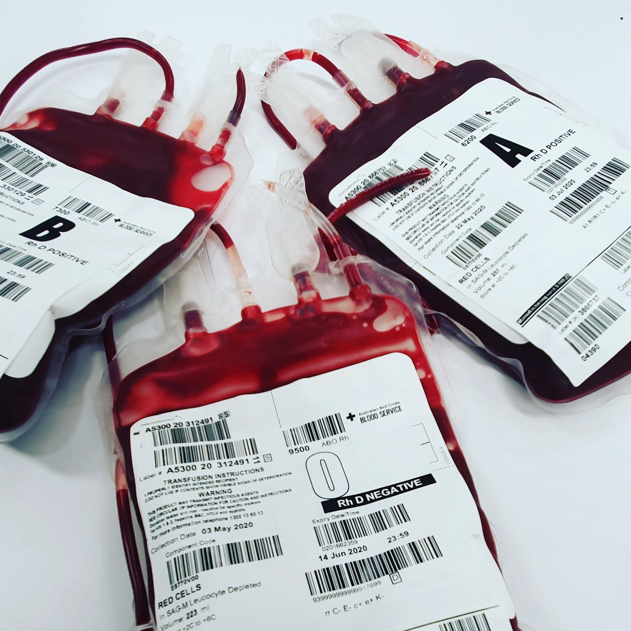 Bags of blood on a white surface.